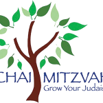 Chai Mitzvah – Indy Overview